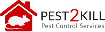 p2k logo 5