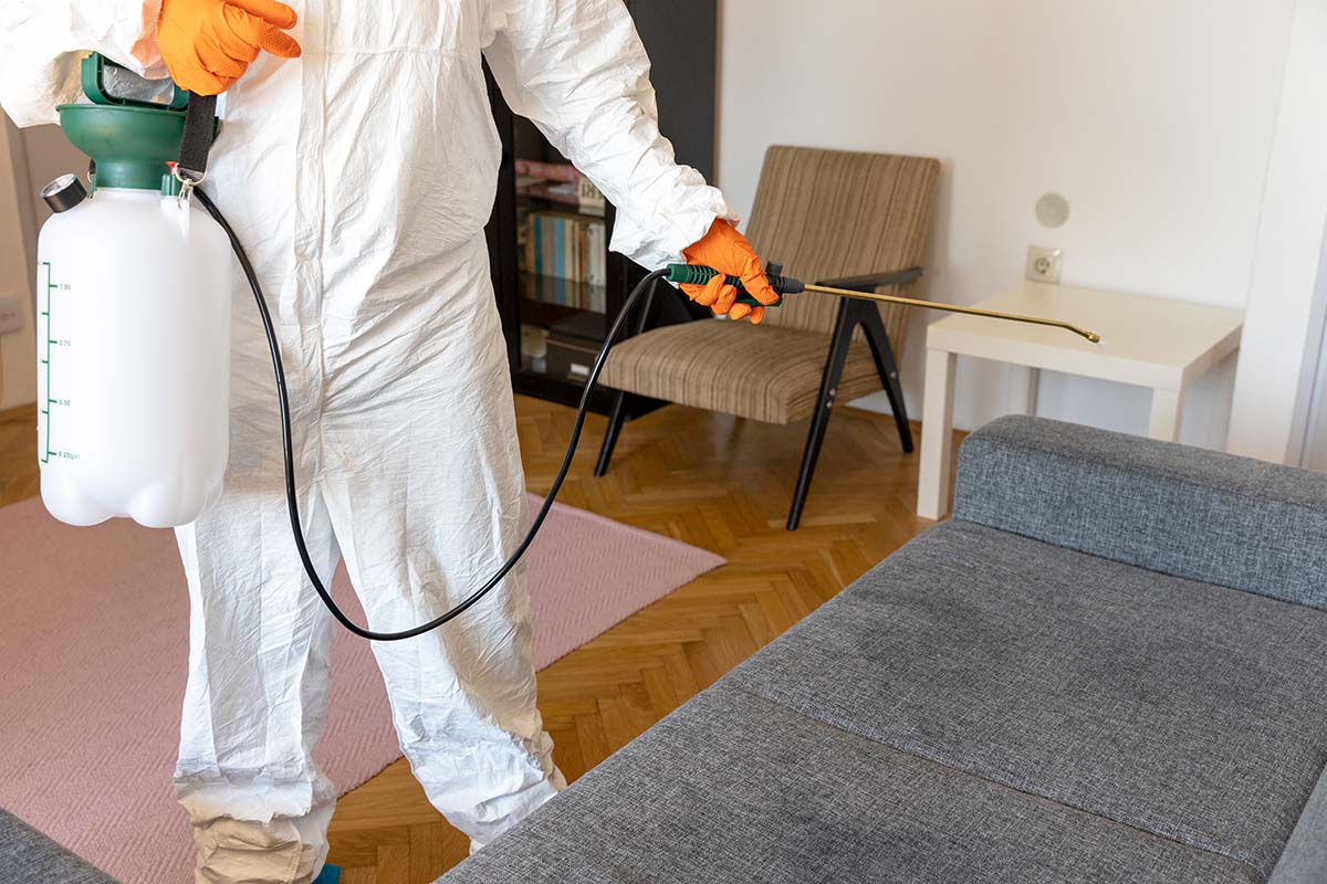 Why Landlords May Need An End Of Tenancy Fumigation๐ฆ๐ฆ | Pest2Kill Fumigation Spraying - Pest2Kill